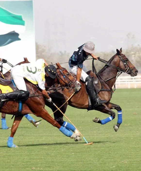 Location and Accessibility