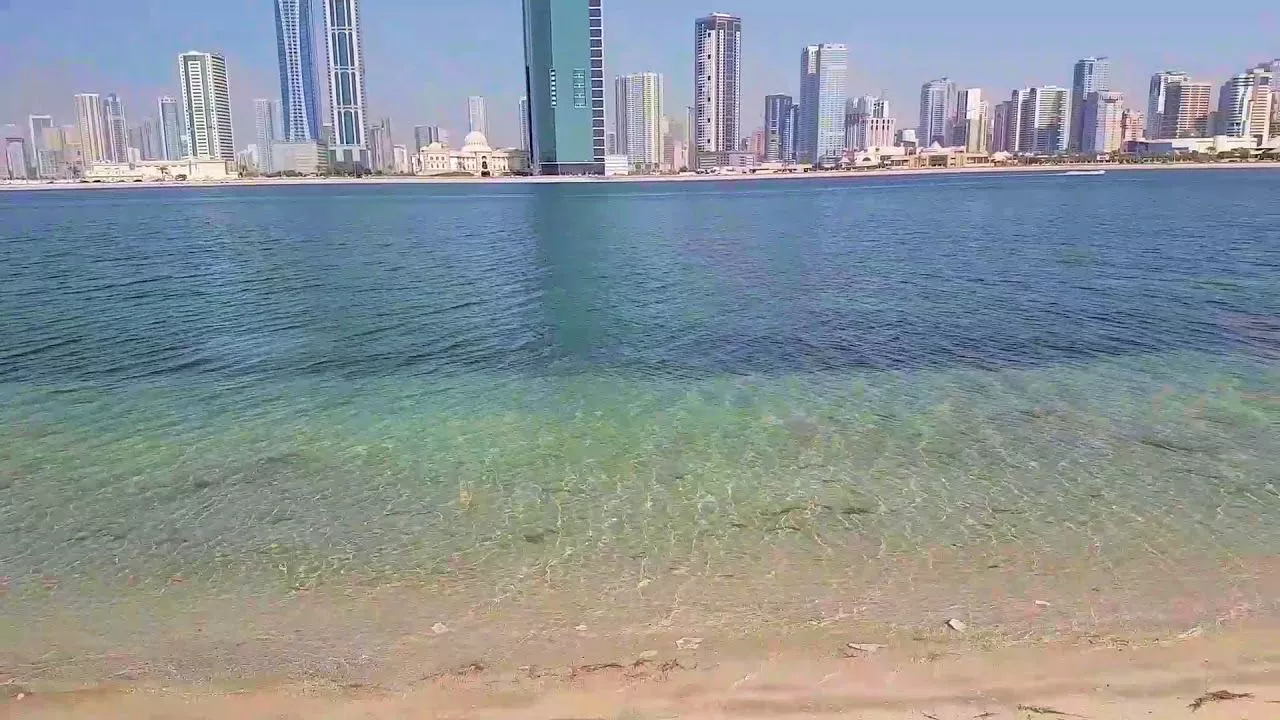 Investment Opportunities