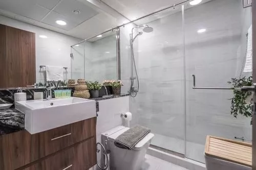 Historical Background of Al Satwa